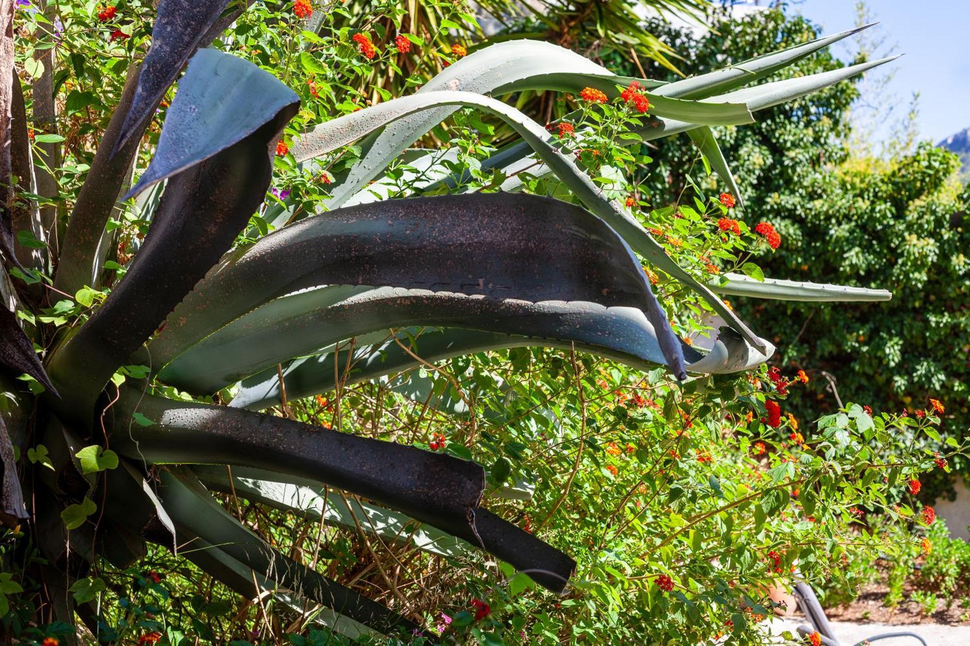 Somptueux Appartement Avec Jardin Cassis Kültér fotó