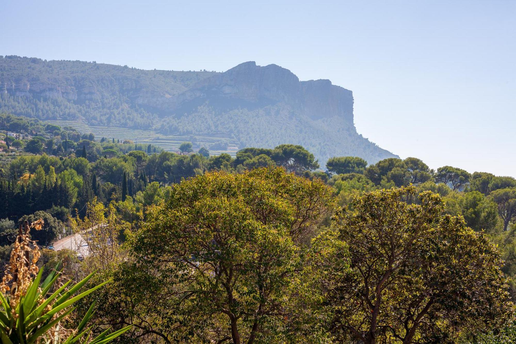 Somptueux Appartement Avec Jardin Cassis Kültér fotó
