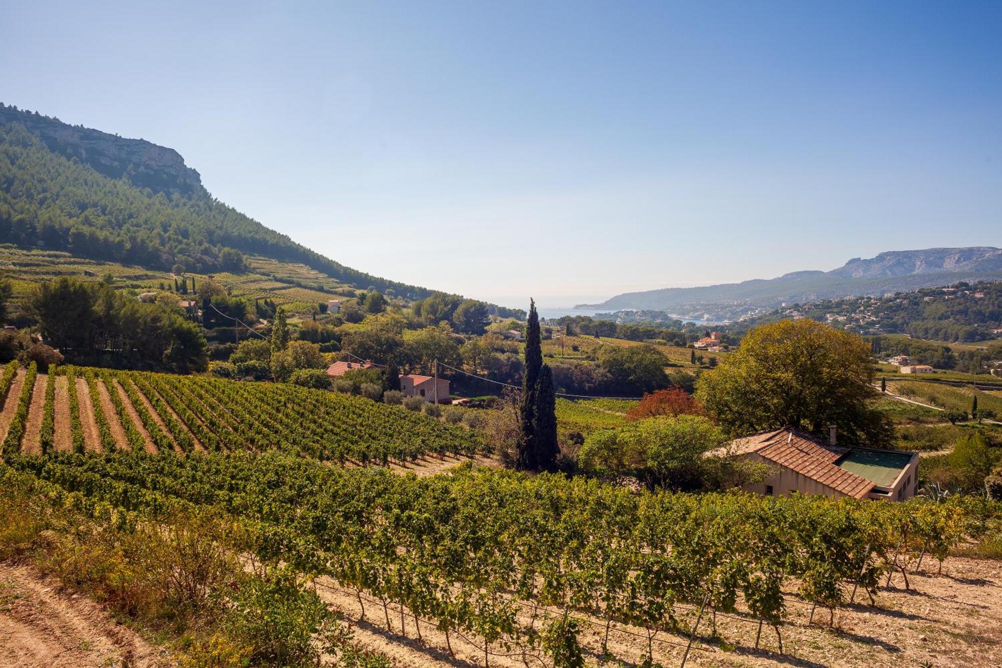 Somptueux Appartement Avec Jardin Cassis Kültér fotó